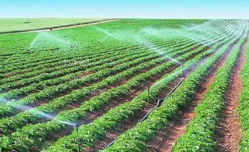 非洲屌大战华裔农田高 效节水灌溉